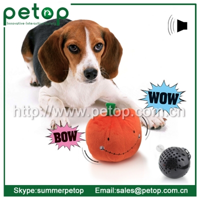 PT2009 Crazy Ball For Dog Toys